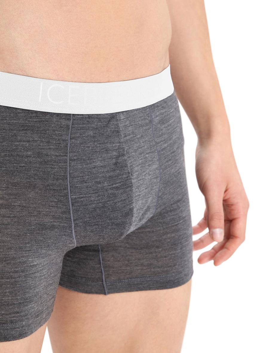 Men's Icebreaker Cool-Lite™ Merino Anatomica Boxers Underwear Monsoon Heather | CA 1628MQZA